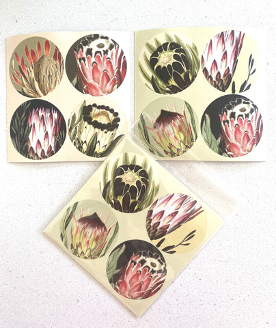 Versatile Round Sticker Set of 8 - Protea