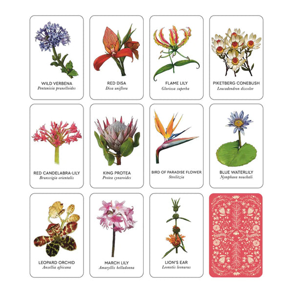 Flowers of South Africa Memory Game