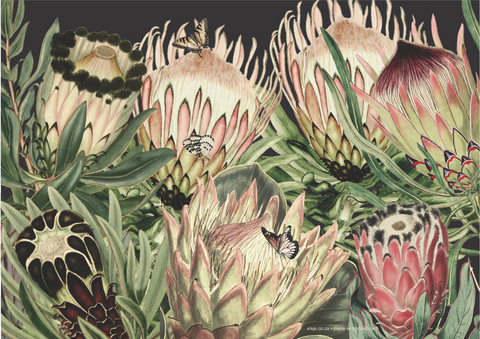 Paper Placemats - Proteas