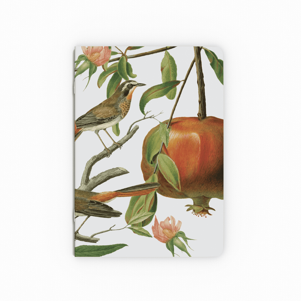 A5 Notebook - Granaatappel