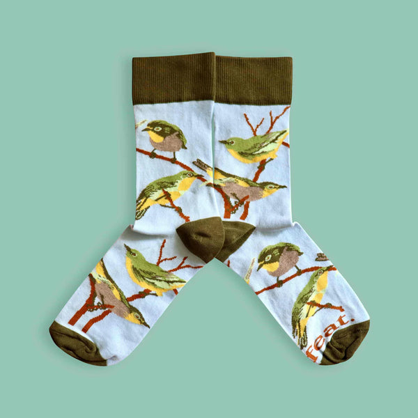 Men’s Cape White-eye Bird socks | Designer socks inspired by birds of South Africa
