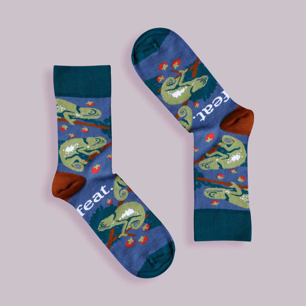 Ladies’ Chameleon socks | Flap-necked chameleon from South Africa