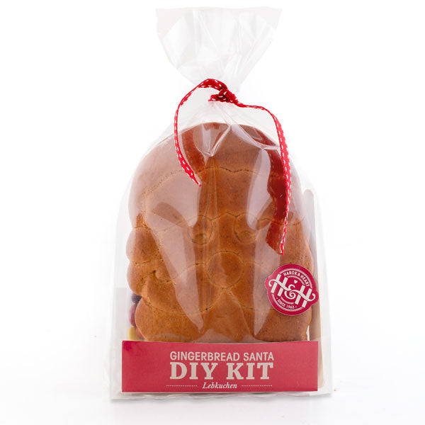 Santa DIY Kit