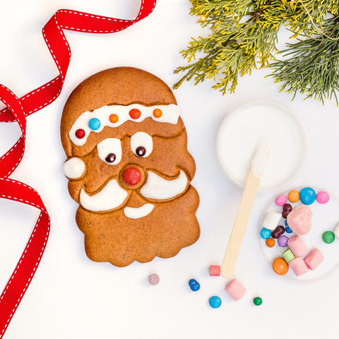 Santa DIY Kit