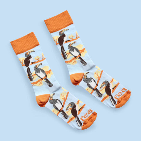 Men’s Hornbill Bird socks