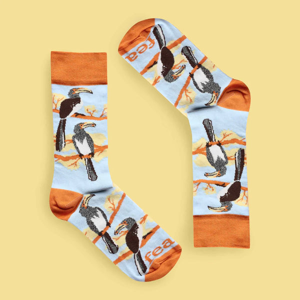 Ladies’ Hornbill Bird socks