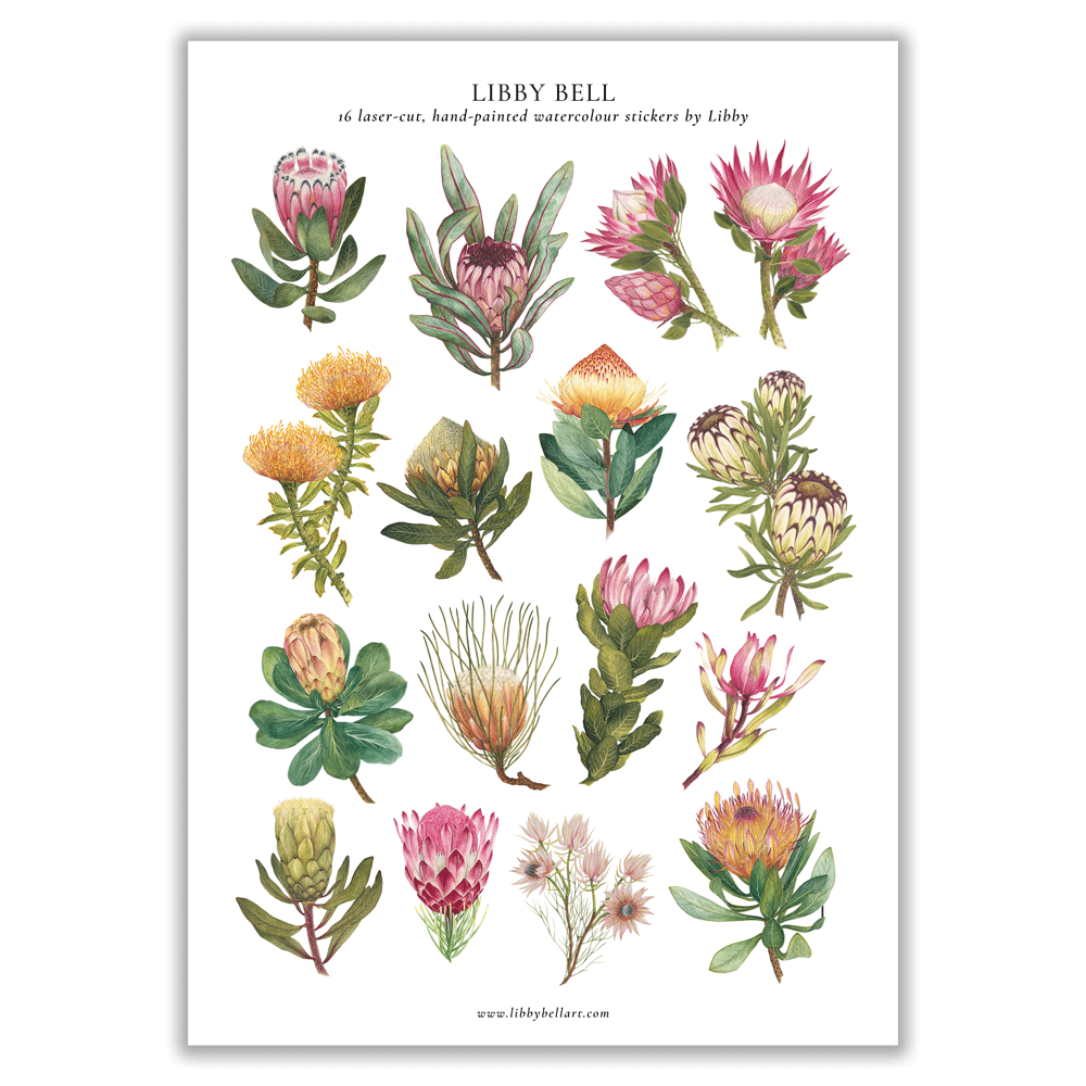 Proteas of RSA Sticker Sheet