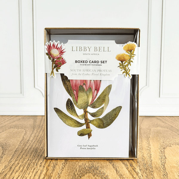 Proteas Boxed Greeting Card Set