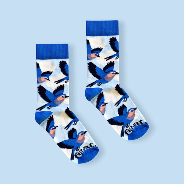 Women’s Lilac Breasted Roller socks | Bird Life of South Africa