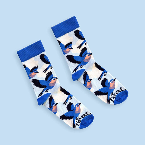 Women’s Lilac Breasted Roller socks | Bird Life of South Africa