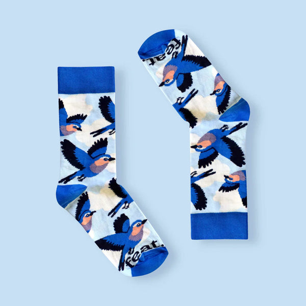 Women’s Lilac Breasted Roller socks | Bird Life of South Africa