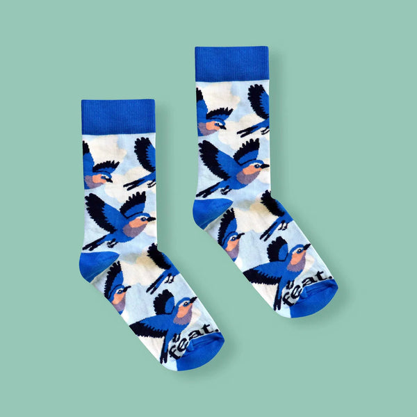 Men’s Lilac Breasted Roller socks | Bird Life of South Africa