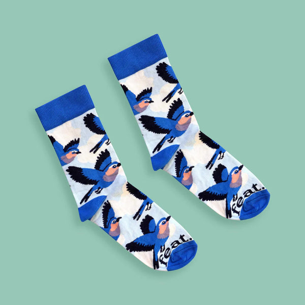 Men’s Lilac Breasted Roller socks | Bird Life of South Africa