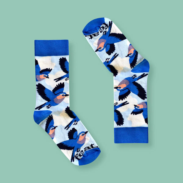 Men’s Lilac Breasted Roller socks | Bird Life of South Africa