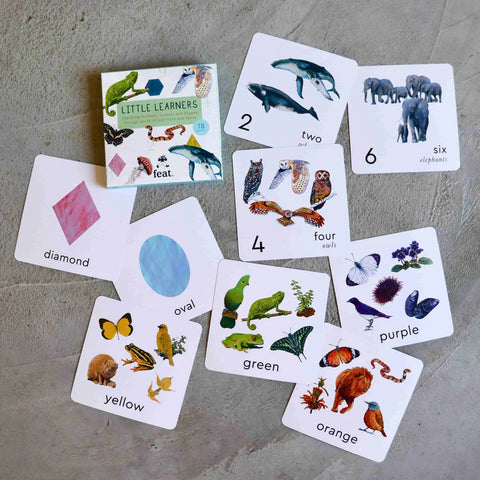 Little Learners Flash Cards