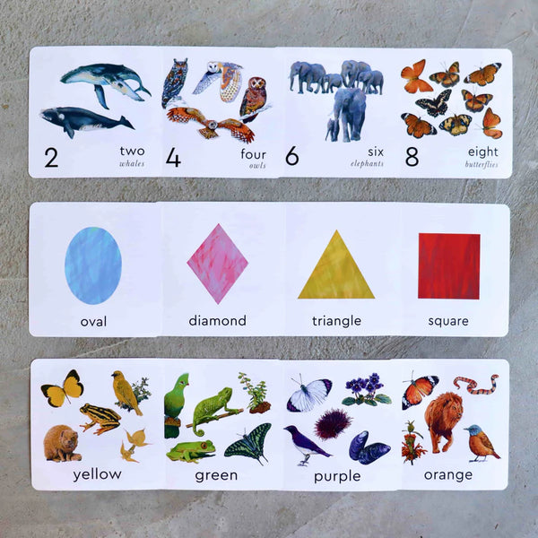 Little Learners Flash Cards