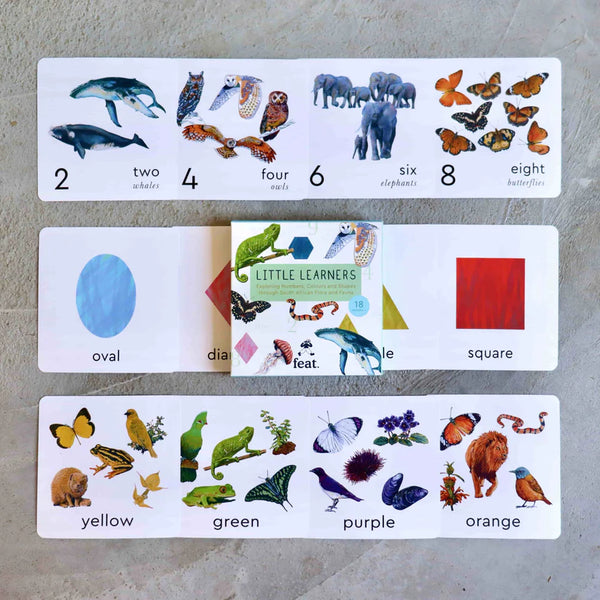 Little Learners Flash Cards