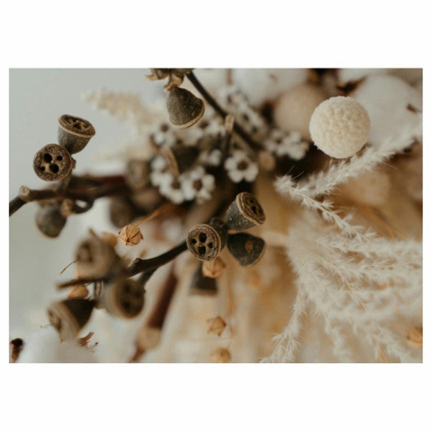 Paper Placemats - Cotton Dried Flowers