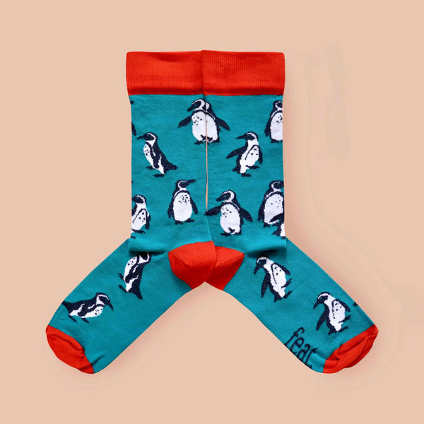 Ladies’ Penguins on Repeat socks | South Africa