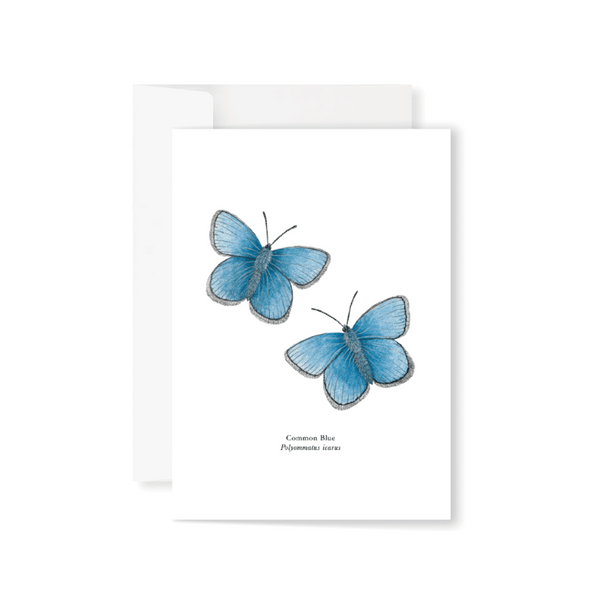 Bufferflies Boxed Greeting Cards