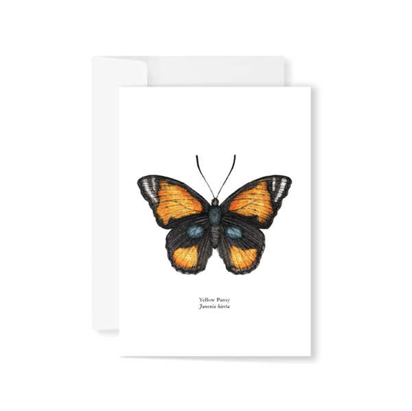 Bufferflies Boxed Greeting Cards