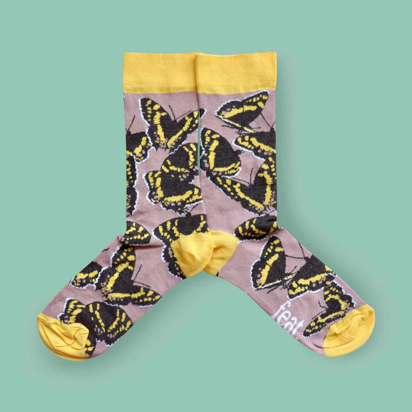 Ladies’ Table Mountain Beauty Butterfly socks