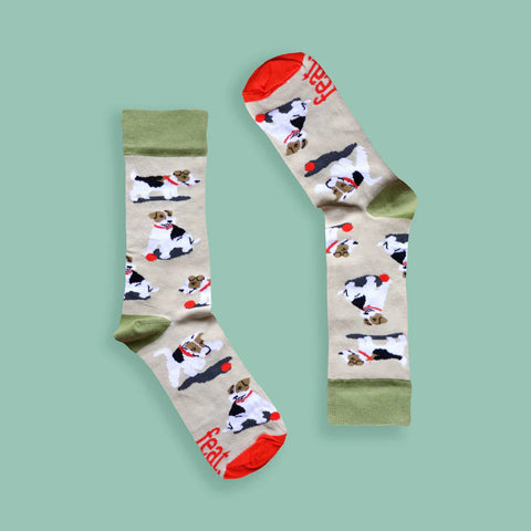 Ladies’ Teddie socks | Wire Haired Terrier Dog Socks