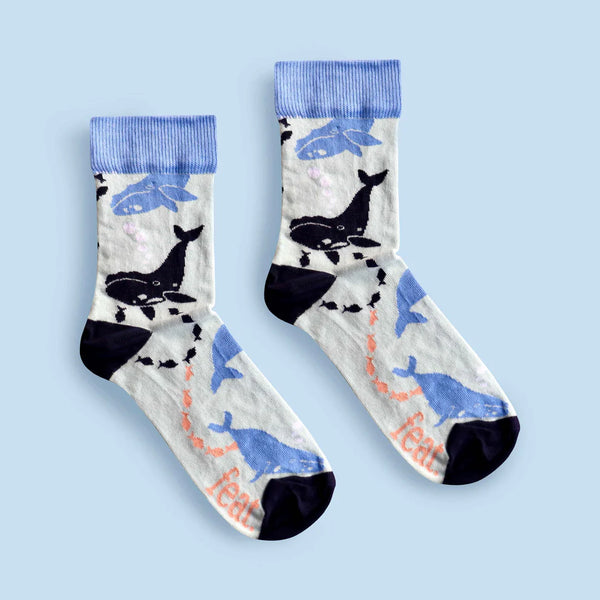 Ladies’ Whale Away socks | Southern Right Whale socks