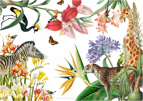 Paper Placemats - Indigenous Fauna & Flora