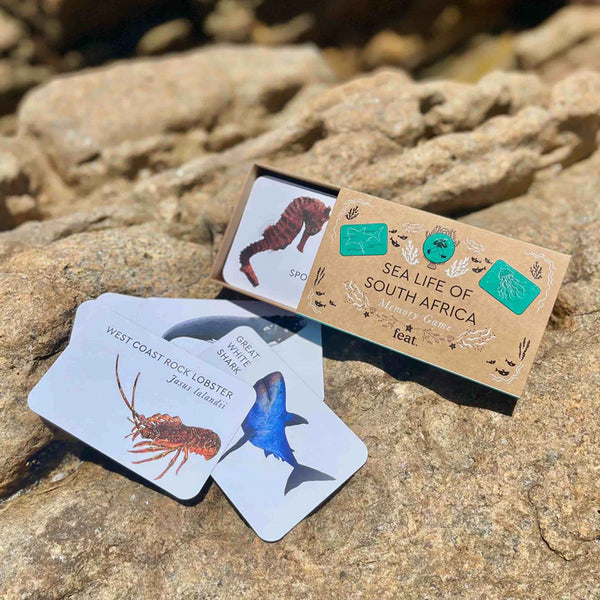 Sea life of South Africa Memory Game